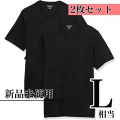 お得な2枚組⭐️黒 5部丈 Tシャツ Vネック メンズ 半袖 綿100 夏 L