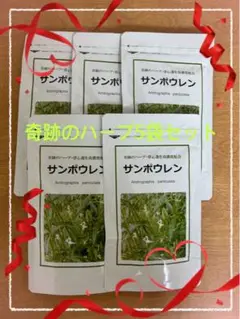 サンポウレン 120粒入り 5袋セット