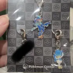 ポケモンメタルチャーム(ウェルカモ・ウェーニバル)