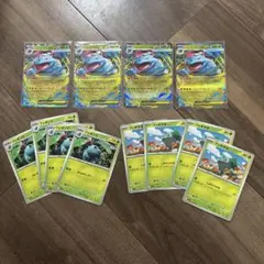 ポケモンカード　メガフシギバナex 進化ライン