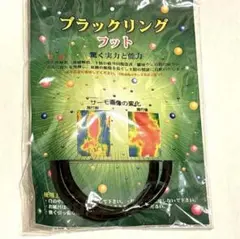 Item thumbnail for item f885ab66-2fdd-4342-8a0a-d04daae353bd