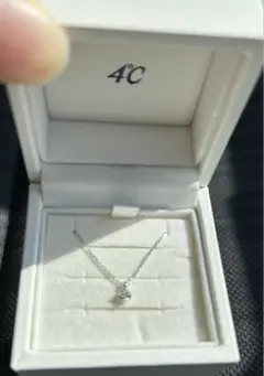 Item thumbnail for item 4f0c93a1-38b1-42d3-abe1-3a8af332f599