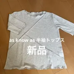 As know asグレー　半袖シアートップス