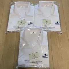 Item thumbnail for item 3165e774-0ea5-4762-9ba0-274814d1b14e