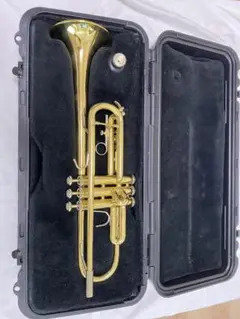 2025年最新】Bach TR300の人気アイテム - メルカリ