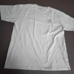 BILLABONG アドベンチャー Tシャツ