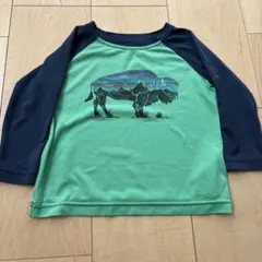Item thumbnail for item bdcf64be-e615-4e53-bc40-1737922299a5