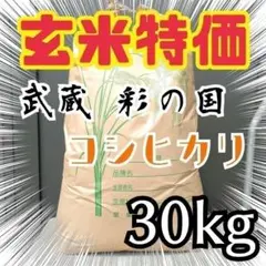 特別セール!玄米限定 令和4年 埼玉県産コシヒカリ 玄米 30kg 美味しいお米