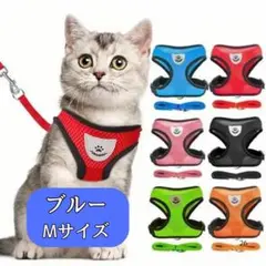 Item thumbnail for item fba469db-f8e3-47f9-a891-a9d41eda9d0f
