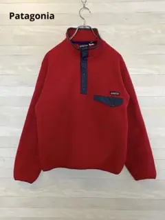Patagonia パタゴニア フリース スナップT
