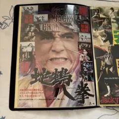 激レア 限定1セット ジャッキーチェン 天中拳 蛇鶴八拳 ポスター 他7点セット 激レア 希少 限定7点セット ジャッキーチェン 天中拳 蛇鶴八拳