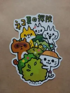 限定 企画 B-SIDE LABEL ゆるネコ ネコ夏の探検 マシュキン