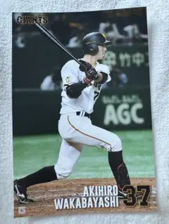 若林晃弘37 巨人 ポストカードカード