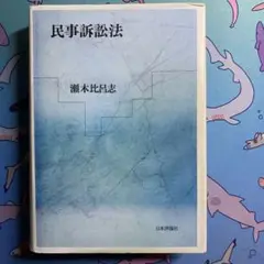 民事訴訟法