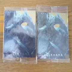 モンスターハンター イヴェルカーナ 2枚セット