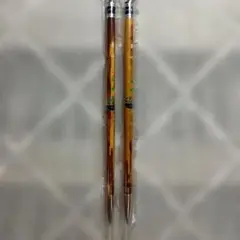 Item thumbnail for item a7409d9d-0699-4cd7-9d24-6565ba02d1ab