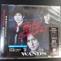 ☆WANDS BURN THE SECRET 初回限定版☆