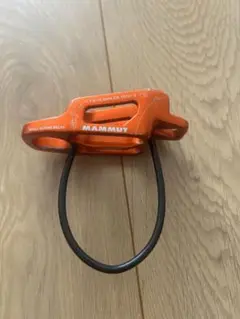 Item thumbnail for item 48114ad7-3054-43ef-869e-15f5062cc192