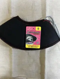 Item thumbnail for item 45ba7a77-d4bf-45a7-ae4e-6524e909c38f