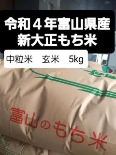 【もち米 中粒米 玄米 5kg】新米 令和4年富山県産新大正もち米 5kg