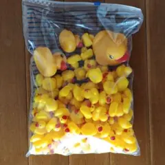 あひる　アヒル隊長