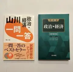 山川 政治・経済 一問一答・用語集 政治経済 新訂第8版