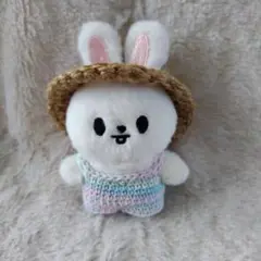 skzoo 10cm ぬい服 お散歩コーデ