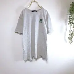 【R7】GERRY Tシャツ Mサイズバックプリント グレー　メンズ