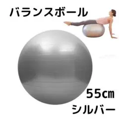残1 バランスボール 55cm シルバー ヨガ ピラティス エクササイズ 運動