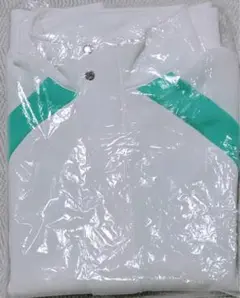 Item thumbnail for item e32fda3b-06be-4b56-abb3-f94c03fe5060