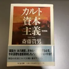 カルト資本主義 増補版