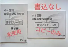 浜学園 小6 日曜錬成特訓 国語【強化講座】 2〜6月1回目/2回目 テキストセット 2024 計10冊 018S2D 浜学園 小6 国語 日曜錬成特訓【強化講座】 2〜6月1/2回目 2024