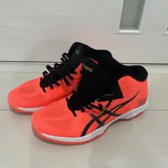 Item thumbnail for item 9160d351-dd22-4149-a567-c5bbba164675