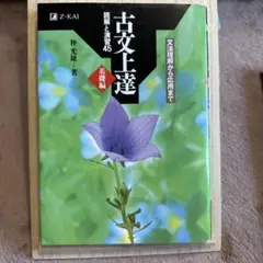 古文上達 基礎編 読解と演習45