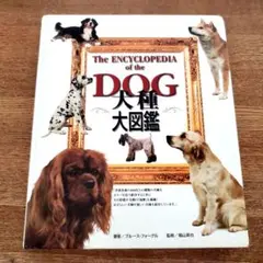 Item thumbnail for item 121148e9-a77c-4204-b949-055bf7bfdaaa