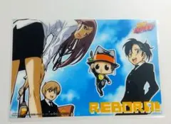 【希少】家庭教師ヒットマンREBORN リボーン 特典 ビアンキ ハル フゥ太