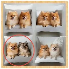 Item thumbnail for item ef94247c-51f4-4f95-b3f1-b7fa079df536