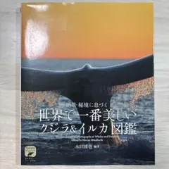 世界で一番美しいクジラ&イルカ図鑑