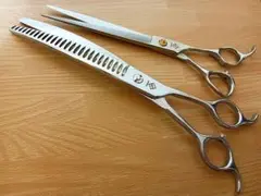 Item thumbnail for item 7b1c8843-f651-4de2-8838-131f6323d24b