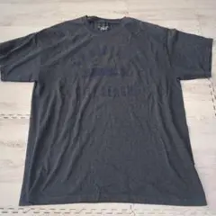 Champion CITY LEAGUE Tシャツ Lサイズ グレー