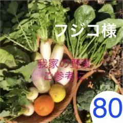 80サイズ 野菜詰め合わせ おまけつき♡野菜セット
