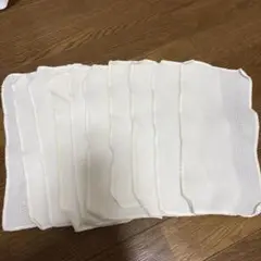 メッシュ素材 布おむつ パッド 10枚セット