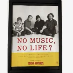 (A4額付き)向井秀徳/ZAZEN BOYS タワレコ　ポスター風