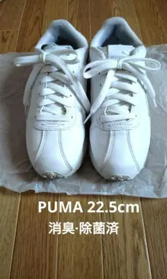 PUMA 白 スニーカー 22.5cm プーマ 靴 中古品 消臭除菌済