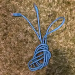青 LANケーブル RJ45コネクタ