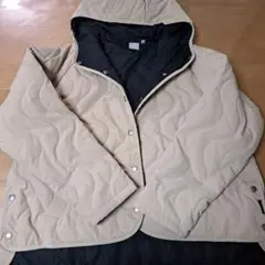 Item thumbnail for item 63e15323-96a3-4fb8-a704-7f1253a3affc