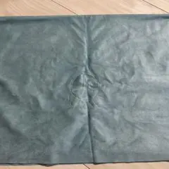 Item thumbnail for item f1b6604b-3e42-4197-a130-b0761b732aa4