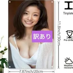 上戸彩ポスター ① ブリキ看板 アイドル 壁掛けポスター メタルプレー