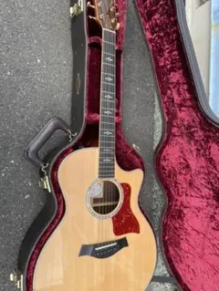 2025年最新】Taylor 814ceの人気アイテム - メルカリ