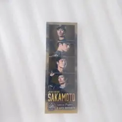 阪神タイガース 坂本誠志郎 フォトグレイ